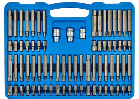 Zestaw bitów TORX HEX RIBE SPLINE 75el walizka stal CrV imbusy