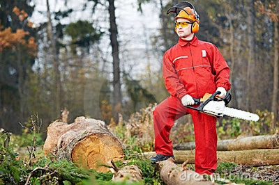 PROWADNICA DO PIŁY 3/8'' PIŁA 40CM 16'' 2 ŁAŃCUCHY