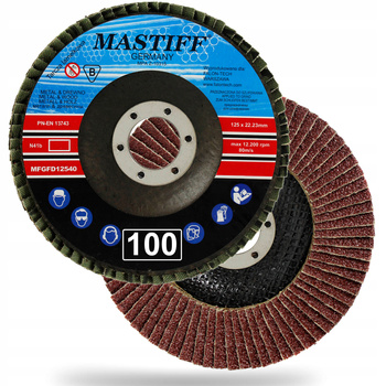 TARCZA DO SZLIFOWANIA LAMELKOWA LAMELKA 125mm P100