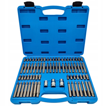 Zestaw bitów TORX HEX RIBE SPLINE 75el walizka stal CrV imbusy
