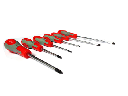 ZESTAW WKRĘTAKI ŚRUBOKRĘT PŁASKI KRZYŻAK PH 6el