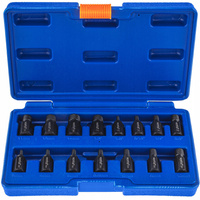 WYKRĘTAKI DO URWANYCH ZERWANYCH ŚRUB SZPILET 3-17 MM 15 EL ZESTAW