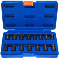 WYKRĘTAKI DO URWANYCH ZERWANYCH ŚRUB SZPILET 3-17 MM 15 EL ZESTAW